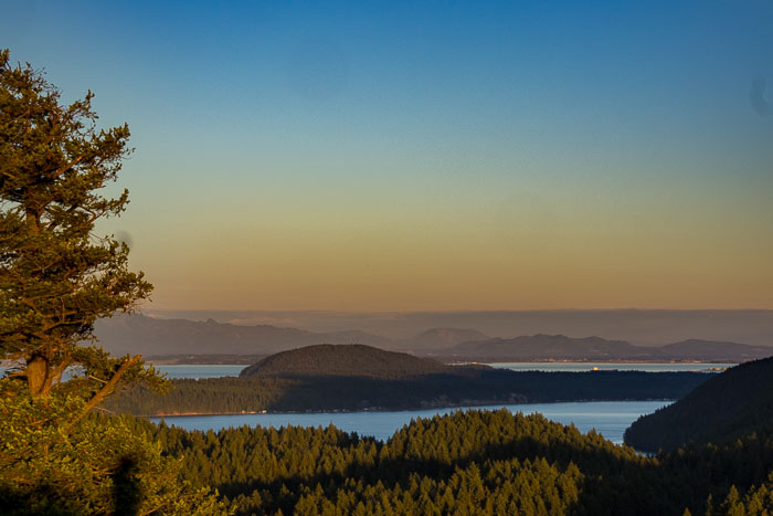 20230810-IMG_0689.jpg 20230810-IMG_0689.jpg