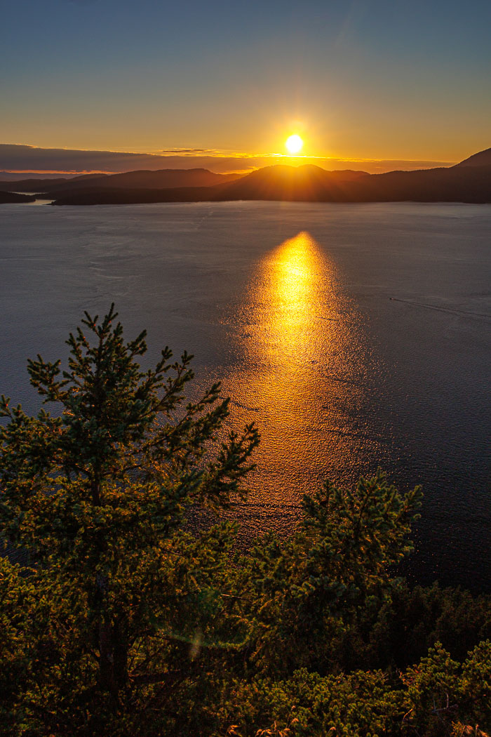 20230810-IMG_0690.jpg 20230810-IMG_0690.jpg