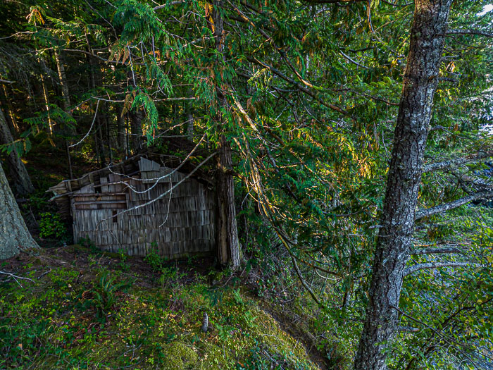 20230811-DJI_0521.jpg 20230811-DJI_0521.jpg