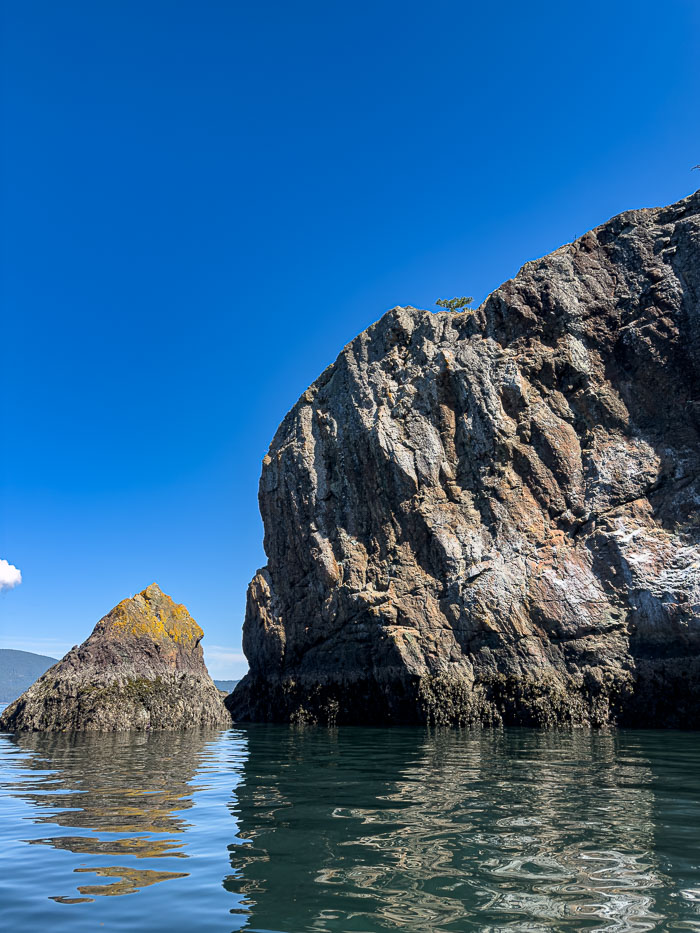 20230811-IMG_6472.jpg 20230811-IMG_6472.jpg