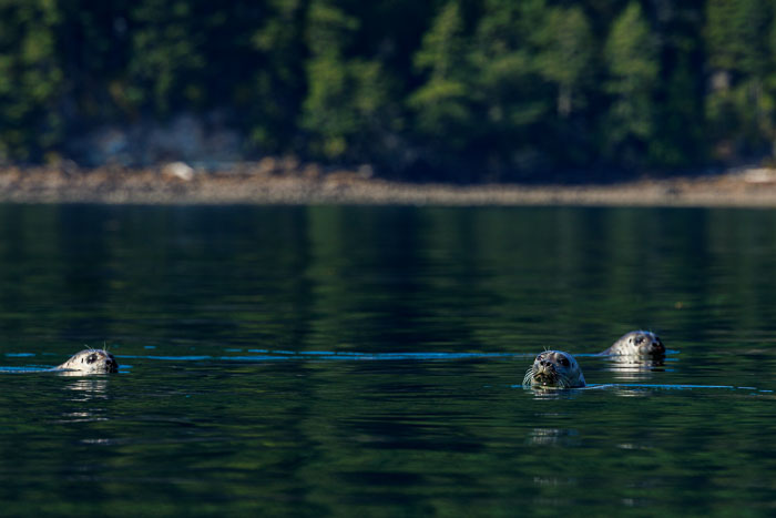 20230812-IMG_0957.jpg 20230812-IMG_0957.jpg