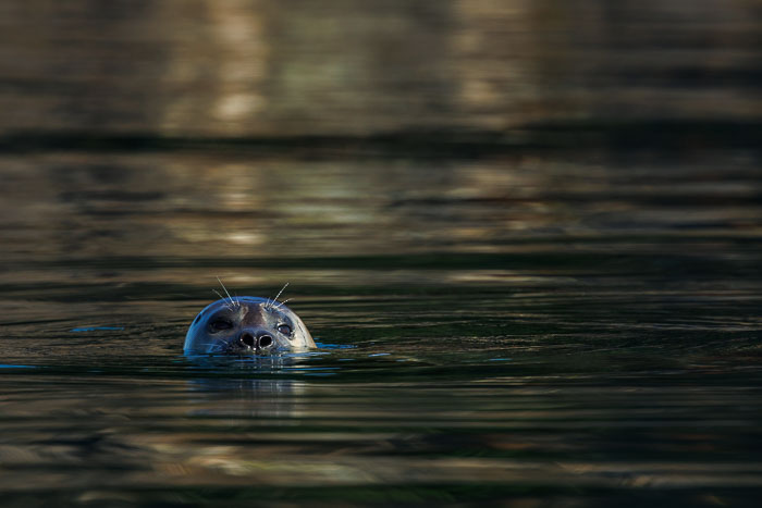 20230812-IMG_0964.jpg 20230812-IMG_0964.jpg