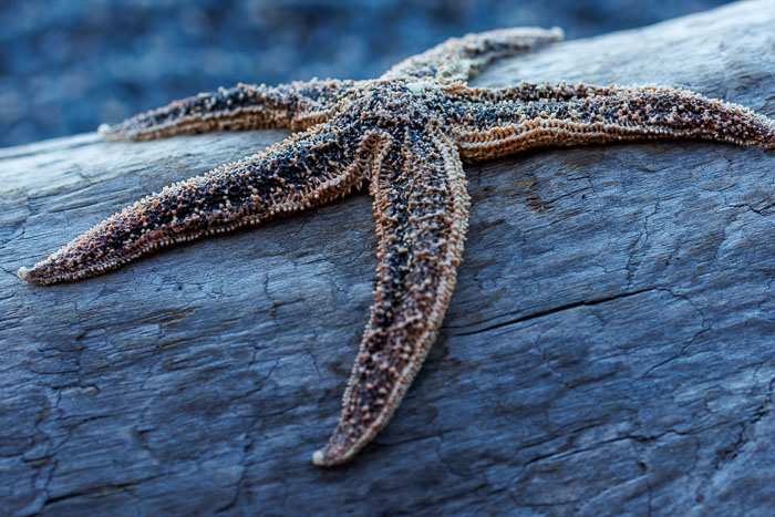 20230812-IMG_0995.jpg 20230812-IMG_0995.jpg