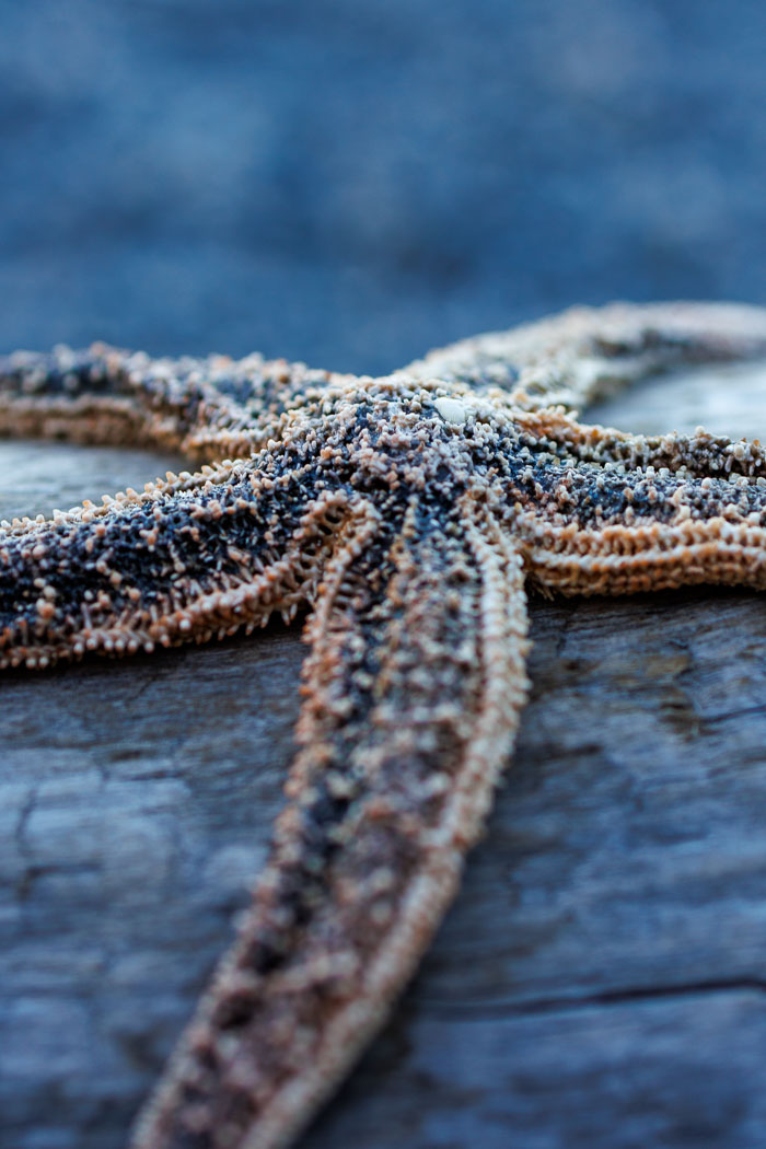 20230812-IMG_0997.jpg 20230812-IMG_0997.jpg