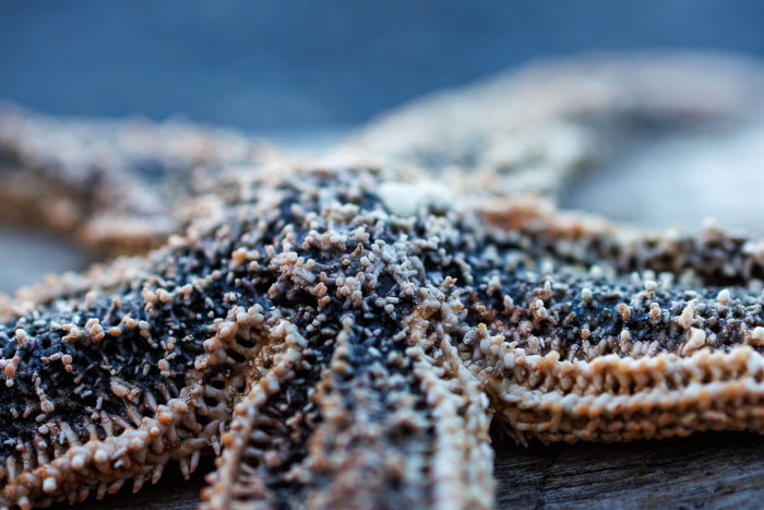 20230812-IMG_1000.jpg 20230812-IMG_1000.jpg