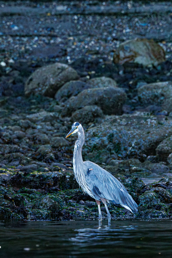 20230813-IMG_1225-Enhanced-NR.jpg 20230813-IMG_1225-Enhanced-NR.jpg