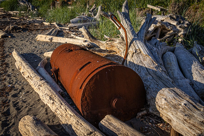 20240703-IMG_9630.jpg 20240703-IMG_9630.jpg