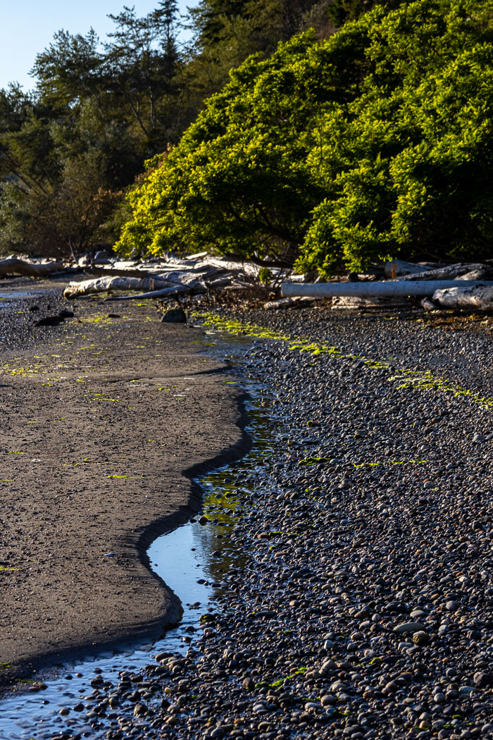 20240703-IMG_9638.jpg 20240703-IMG_9638.jpg