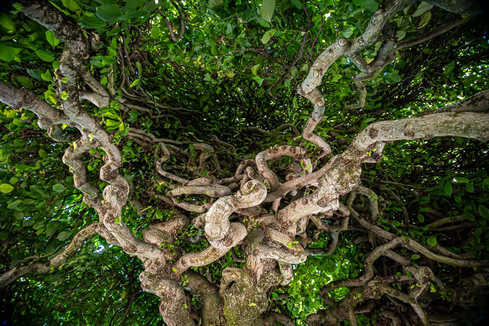 20240705-IMG_9812.jpg 20240705-IMG_9812.jpg