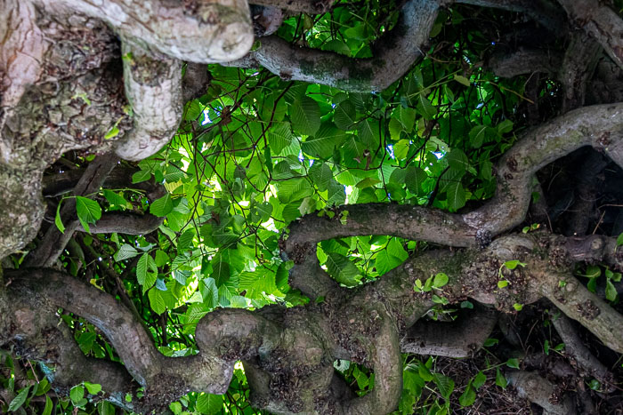 20240705-IMG_9824.jpg 20240705-IMG_9824.jpg