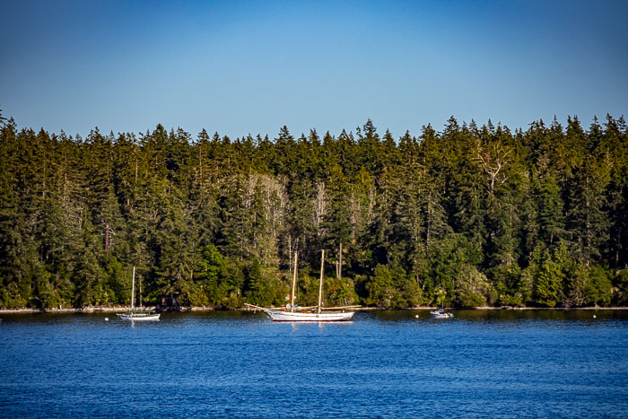 20240705-IMG_9863.jpg 20240705-IMG_9863.jpg