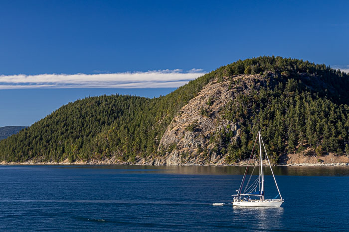 20240705-IMG_9870.jpg 20240705-IMG_9870.jpg