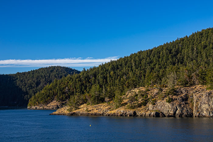 20240705-IMG_9874.jpg 20240705-IMG_9874.jpg