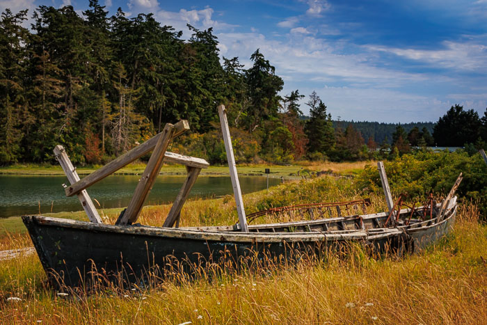 20240717-IMG_9904.jpg 20240717-IMG_9904.jpg