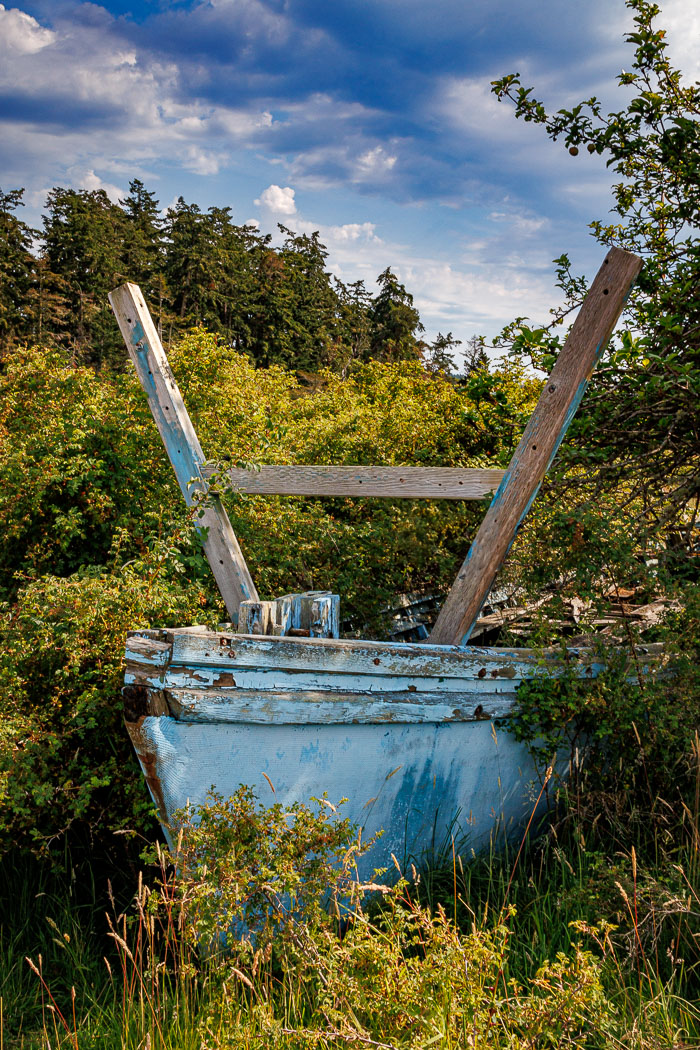 20240717-IMG_9906.jpg 20240717-IMG_9906.jpg