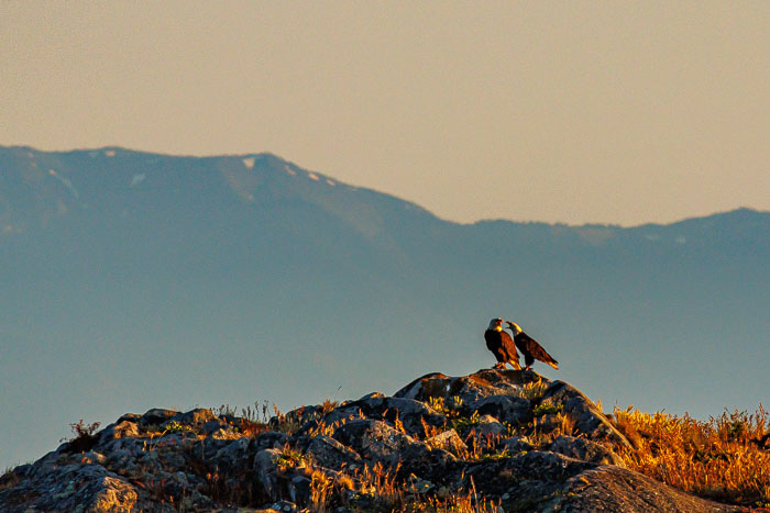 20240719-IMG_0011-Enhanced-SR.jpg 20240719-IMG_0011-Enhanced-SR.jpg