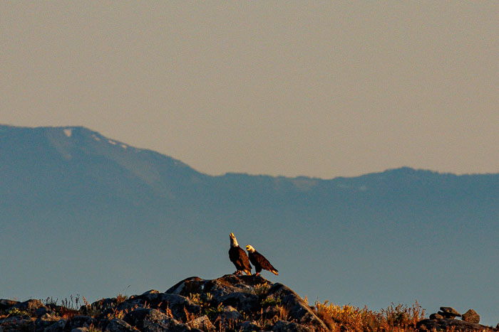 20240719-IMG_0013-Enhanced-SR.jpg 20240719-IMG_0013-Enhanced-SR.jpg