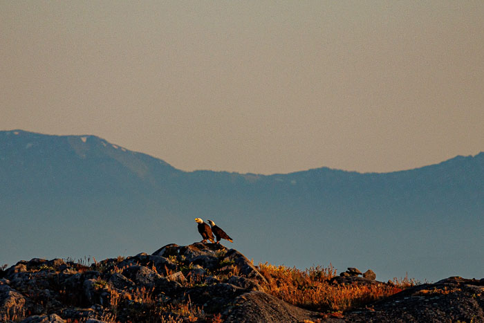 20240719-IMG_0014.jpg 20240719-IMG_0014.jpg