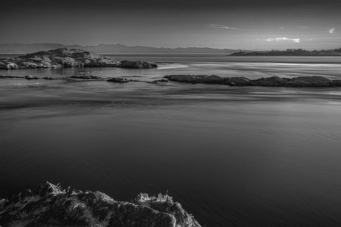 20240719-IMG_0022.jpg 20240719-IMG_0022.jpg