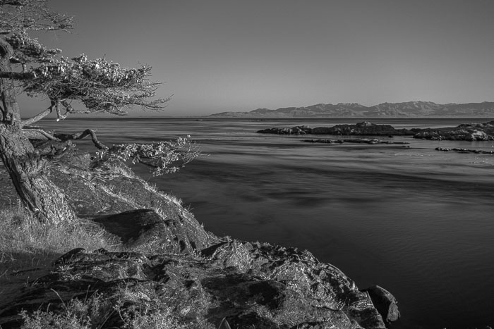 20240719-IMG_0023.jpg 20240719-IMG_0023.jpg