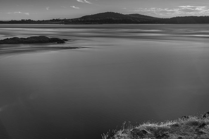 20240719-IMG_0024.jpg 20240719-IMG_0024.jpg