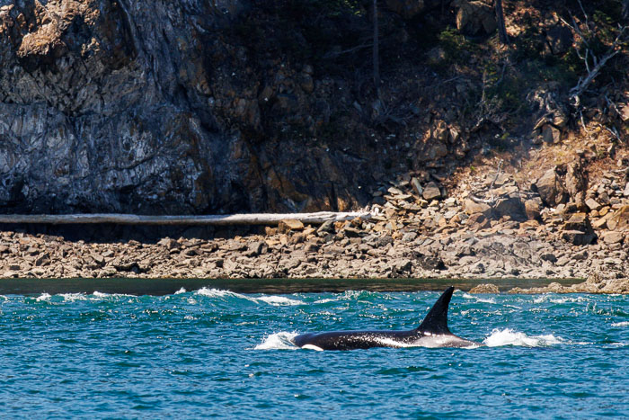 20240720-IMG_0300-Enhanced-SR.jpg 20240720-IMG_0300-Enhanced-SR.jpg