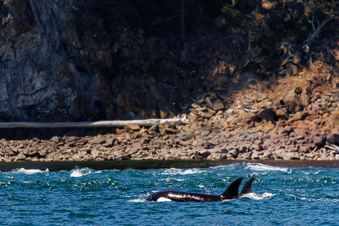 20240720-IMG_0310-Enhanced-SR-1.jpg 20240720-IMG_0310-Enhanced-SR-1.jpg