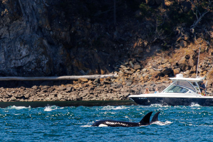 20240720-IMG_0310-Enhanced-SR.jpg 20240720-IMG_0310-Enhanced-SR.jpg