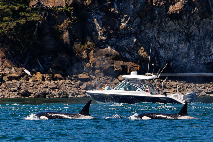 20240720-IMG_0324-Enhanced-SR.jpg 20240720-IMG_0324-Enhanced-SR.jpg