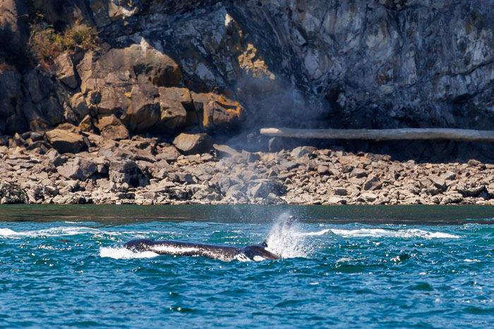 20240720-IMG_0365-Enhanced-SR.jpg 20240720-IMG_0365-Enhanced-SR.jpg