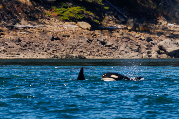 20240720-IMG_0399-Enhanced-SR.jpg 20240720-IMG_0399-Enhanced-SR.jpg