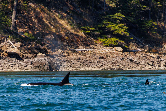 20240720-IMG_0430-Enhanced-SR.jpg 20240720-IMG_0430-Enhanced-SR.jpg