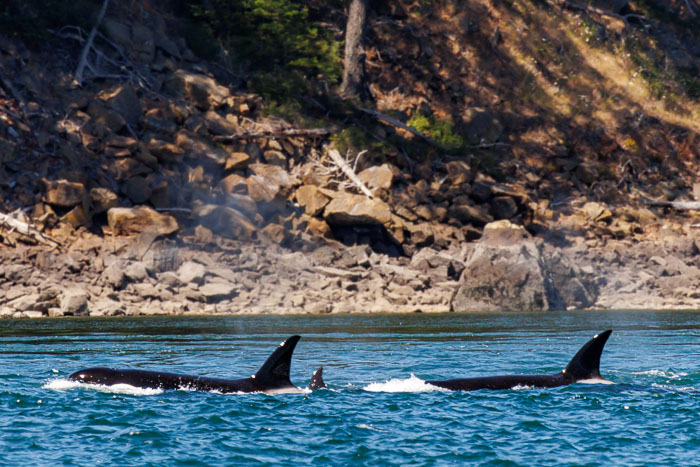 20240720-IMG_0438-Enhanced-SR.jpg 20240720-IMG_0438-Enhanced-SR.jpg