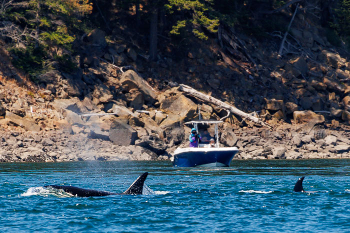 20240720-IMG_0457-Enhanced-SR.jpg 20240720-IMG_0457-Enhanced-SR.jpg