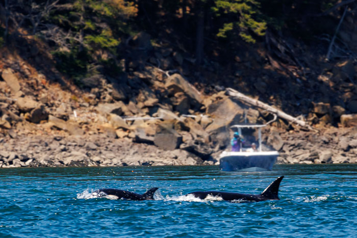 20240720-IMG_0467_v1.jpg 20240720-IMG_0467_v1.jpg