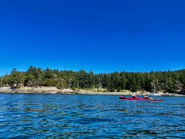 IMG_1381.jpeg IMG_1381.jpeg