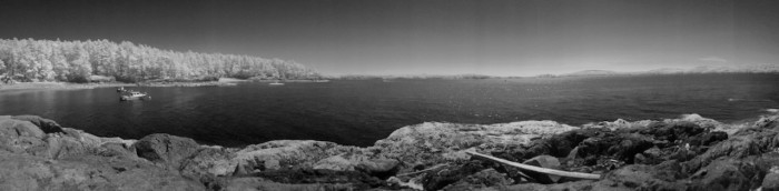 IMG_1397.jpeg IMG_1397.jpeg