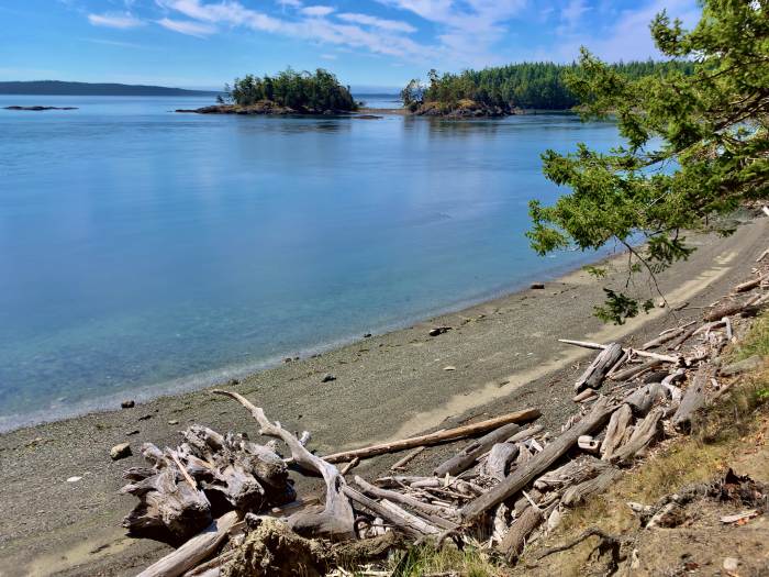 IMG_3546.jpeg IMG_3546.jpeg