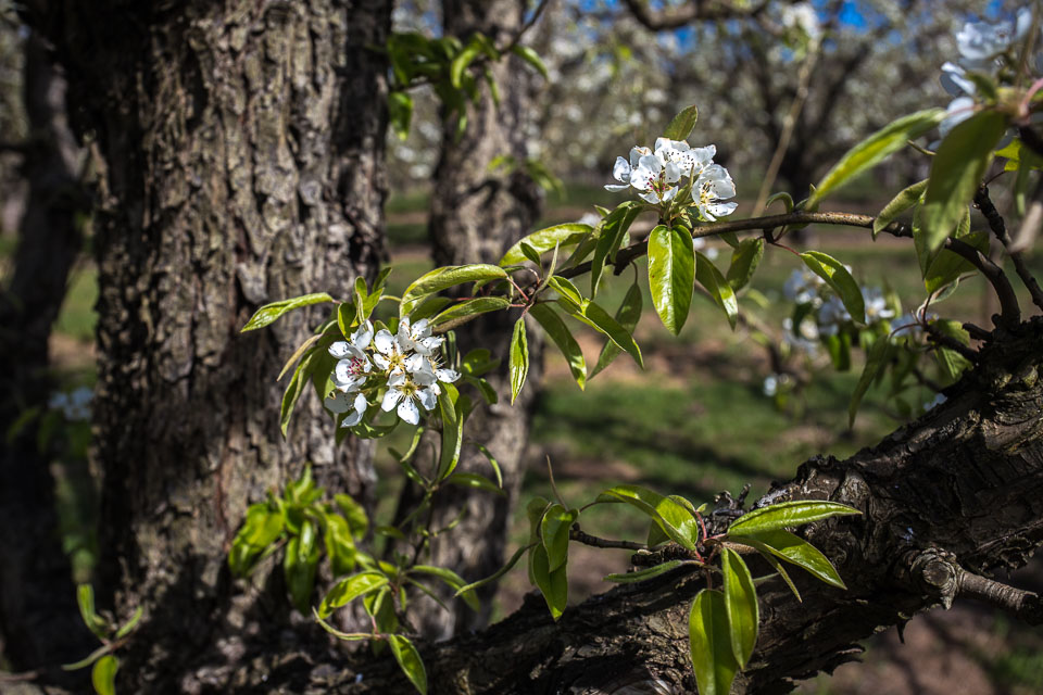 20140429-IMG_4858.jpg