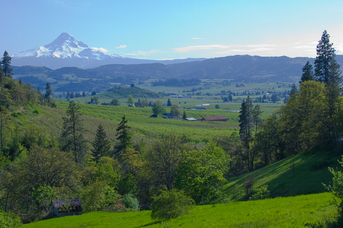 Hood River Valley