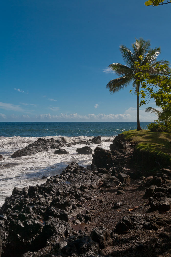 North Kohala, Hāmākua,Hāmākua, North Hilo Districts