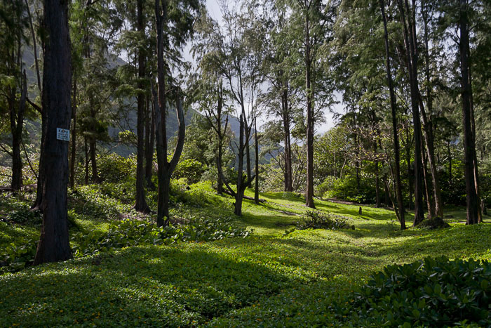 Waipi'o Valley