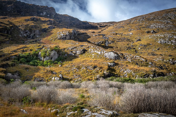 20181021-IMG_9675-HDR.jpg 20181021-IMG_9675-HDR.jpg
