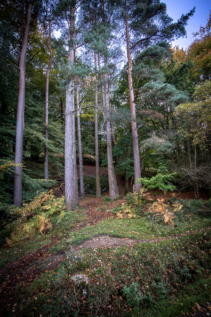 20181019-IMG_8551-HDR.jpg 20181019-IMG_8551-HDR.jpg