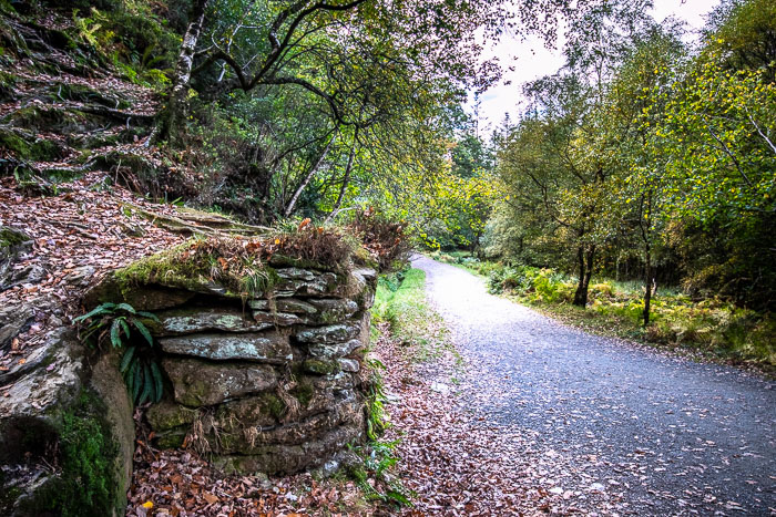 20181019-IMG_8579-HDR.jpg 20181019-IMG_8579-HDR.jpg