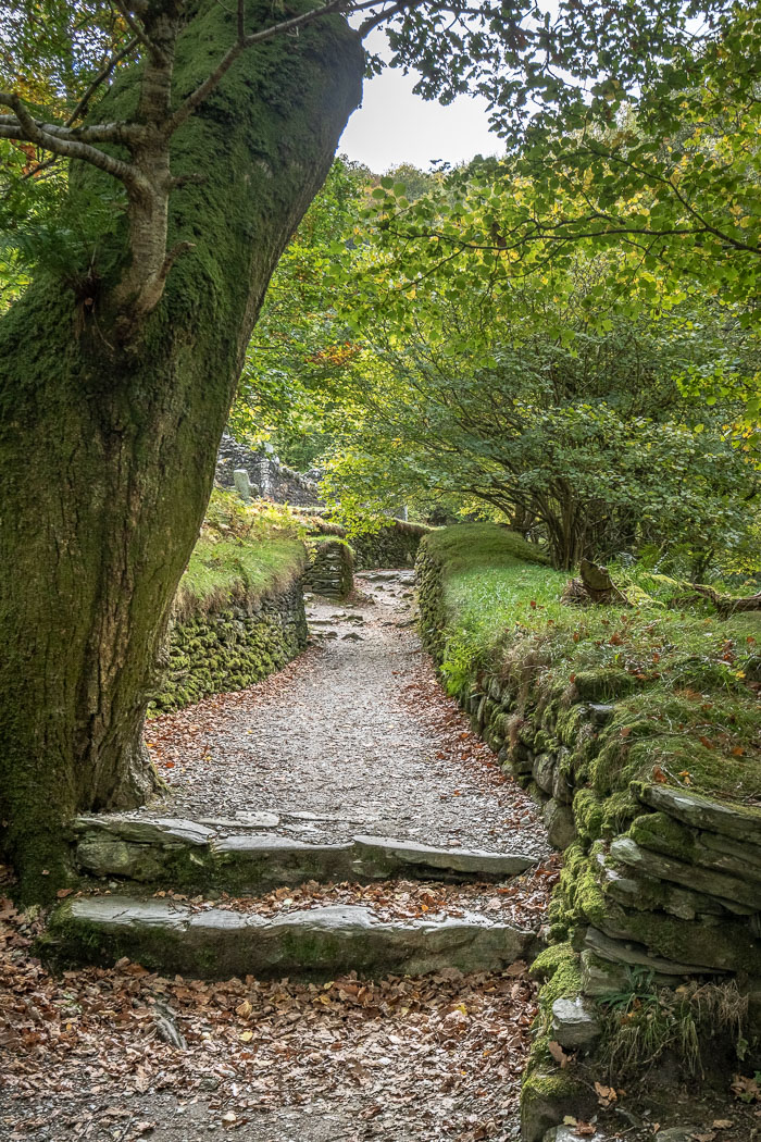 20181019-IMG_8629-HDR.jpg 20181019-IMG_8629-HDR.jpg