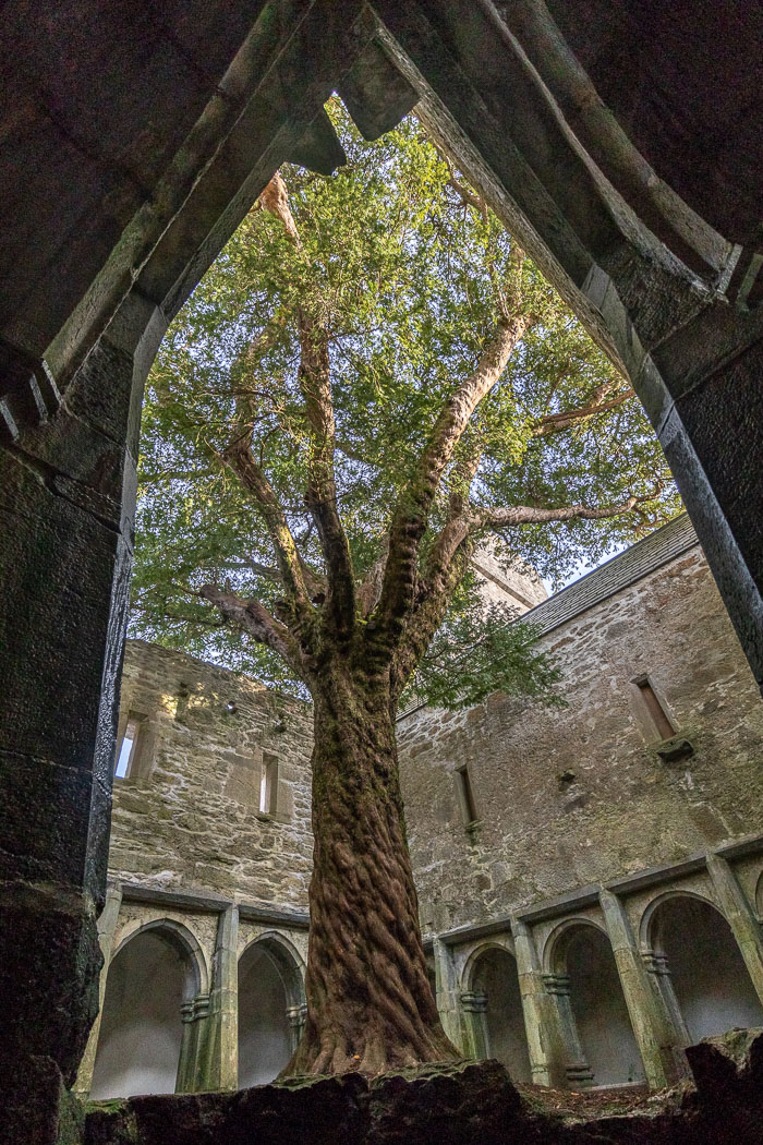20181023-IMG_0732-HDR.jpg 20181023-IMG_0732-HDR.jpg