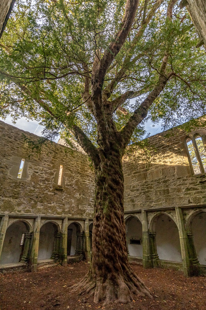 20181023-IMG_0783-HDR.jpg 20181023-IMG_0783-HDR.jpg