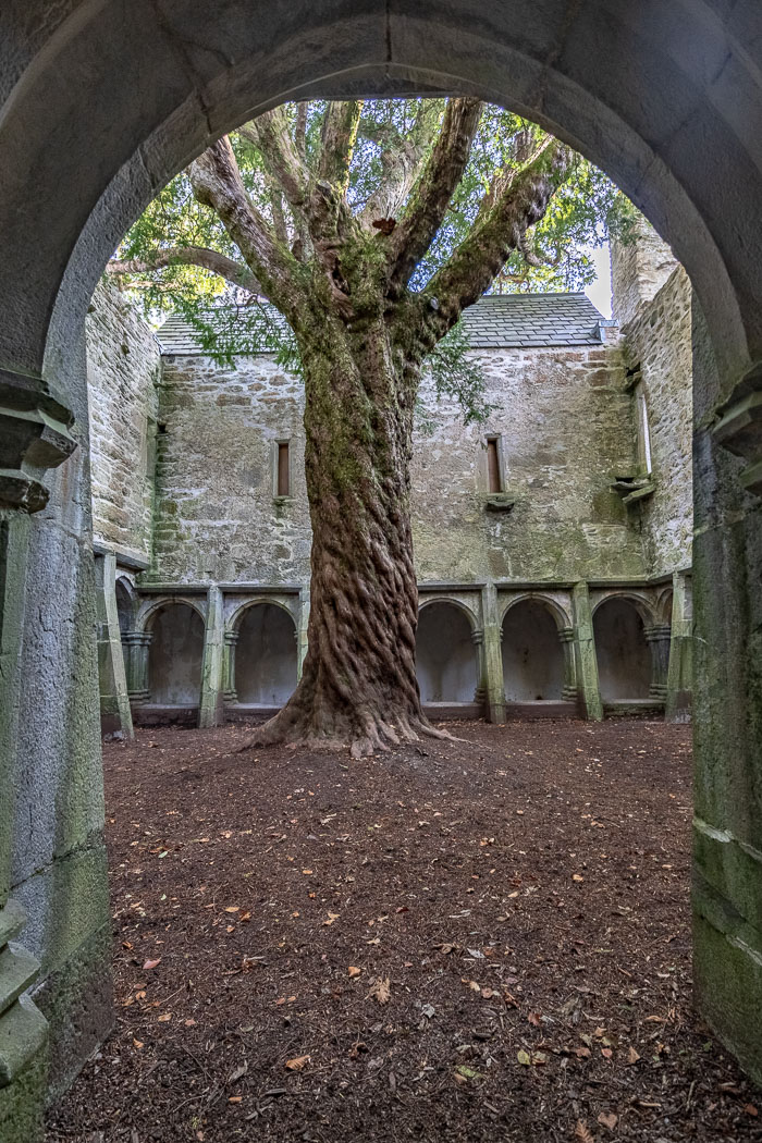 20181023-IMG_0825-HDR.jpg 20181023-IMG_0825-HDR.jpg