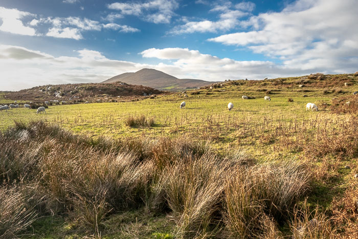 20181022-IMG_0347.jpg 20181022-IMG_0347.jpg